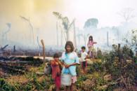 From Forest to Field: How Fire is Transforming the Amazon