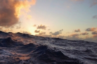 The Ocean's Carbon Balance