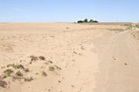 Devastating Drought Settles on the High Plains