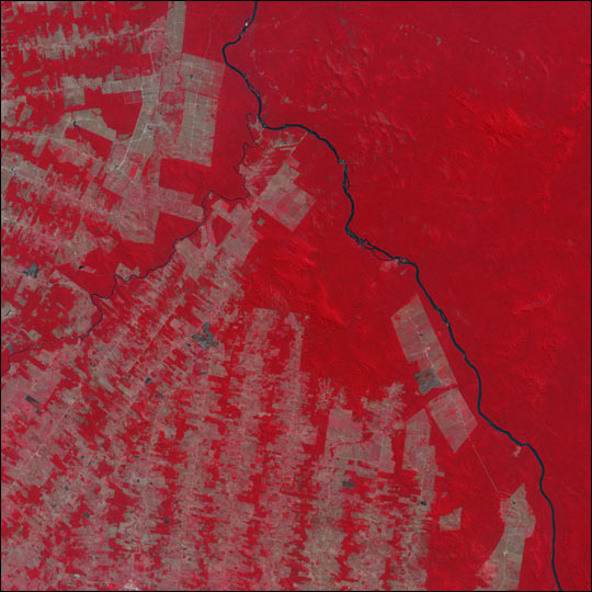 Deforestation In Brazil. Deforestation in Brazil