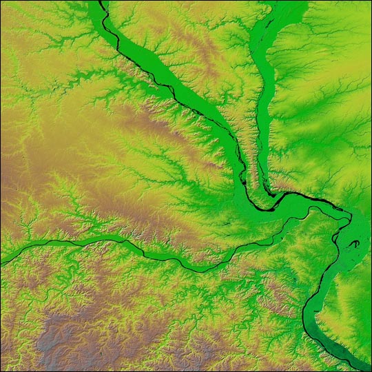 Relief Map of St. Louis, Missouri