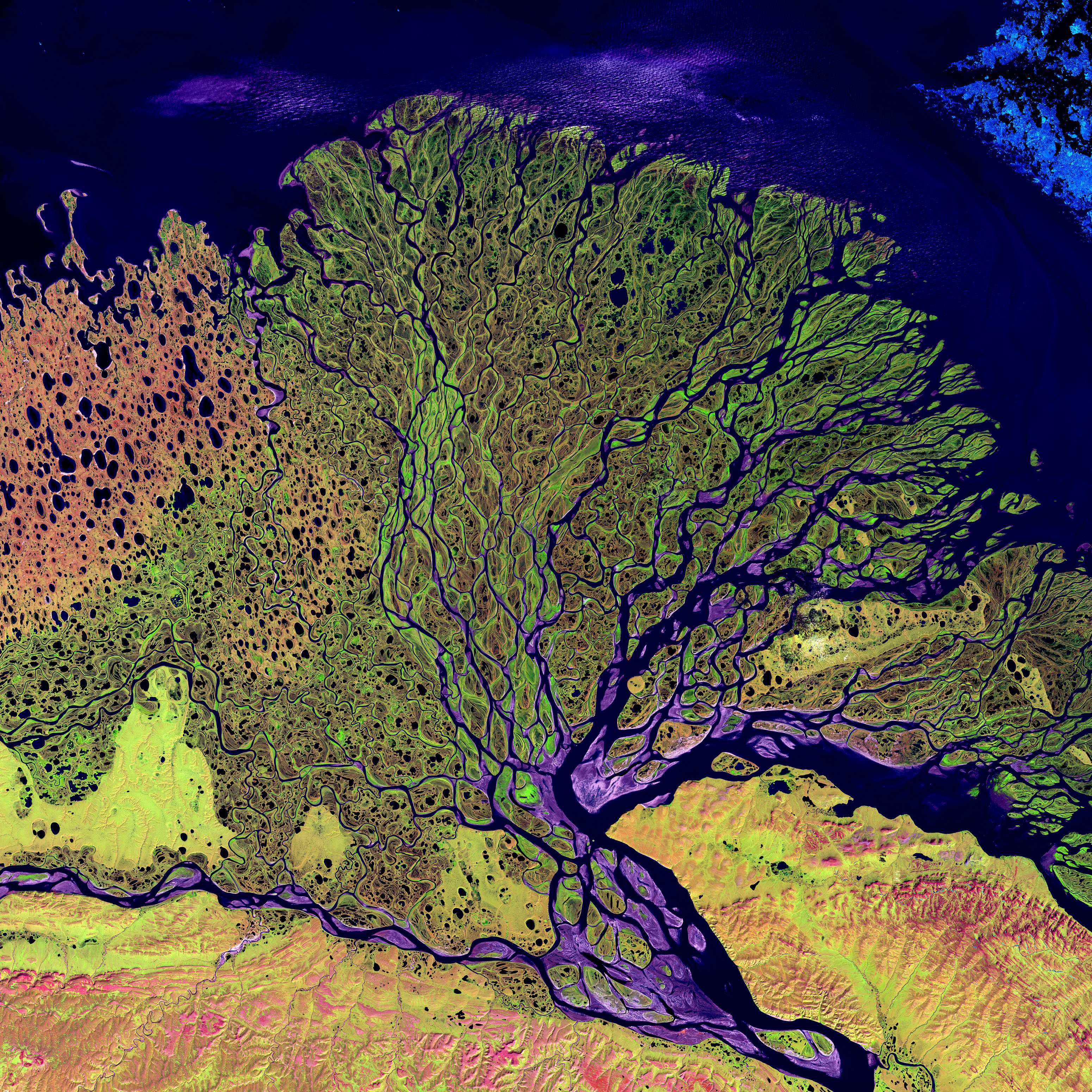 lena-river-delta-image-of-the-day