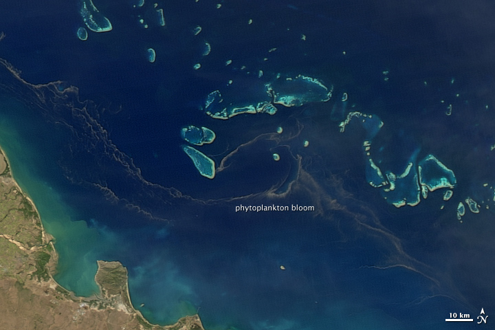 Phytoplankton Bloom in the Great Barrier Reef
