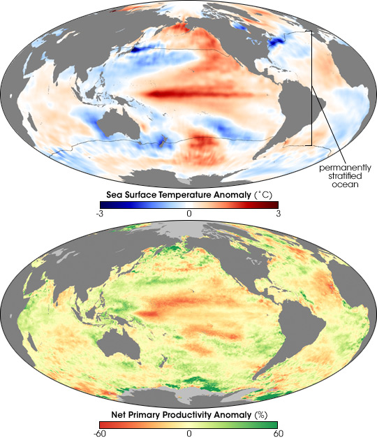 Aquecimento global e diminuição da produtividade dos oceanos, mapa mostrando os impactos do calor na produtividade dos oceanos