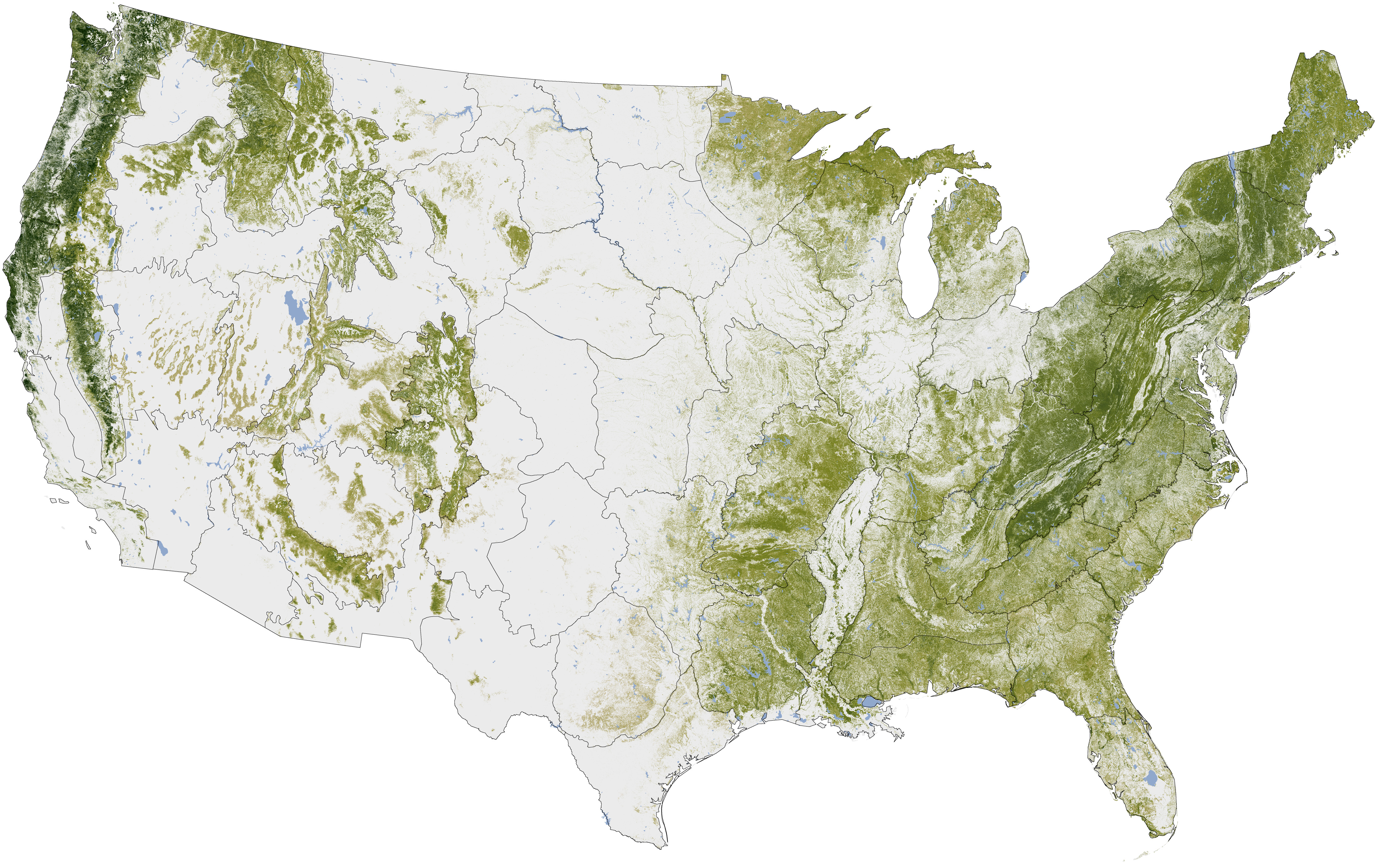 us forests