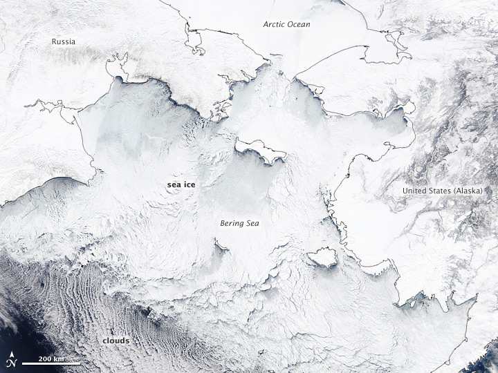 Bering Sea Teeming with Ice