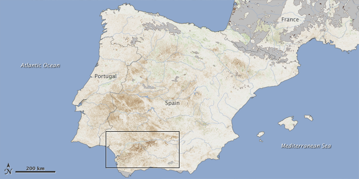 Drought Hits Spain's Wheat Crop