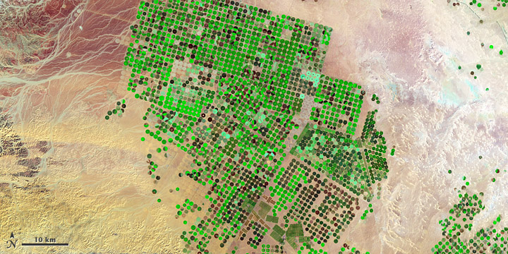 Crop Circles in the Desert