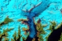 Retreat of Alaska’s Columbia Glacier Retreat of Alaska’s Columbia Glacier