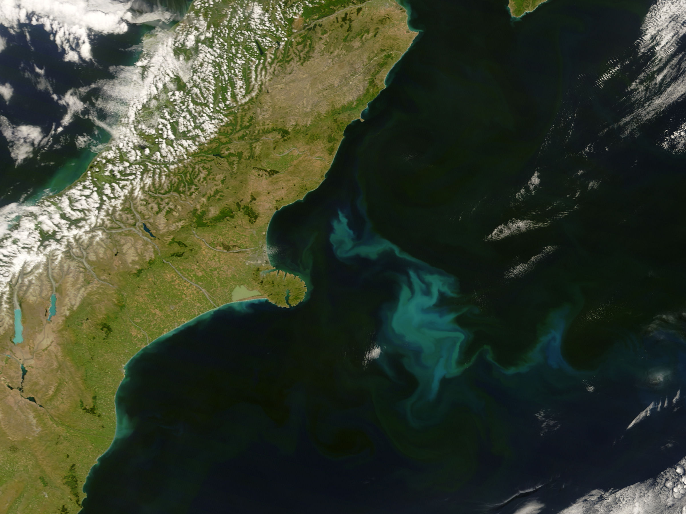 Phytoplankton Bloom off West Africa