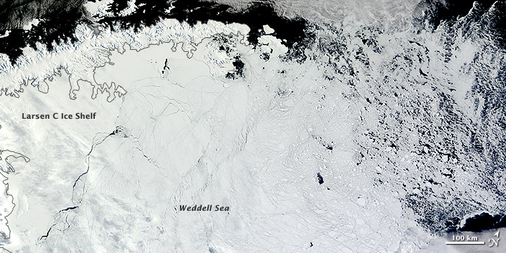 Antarctic Ice North of the Weddell Sea