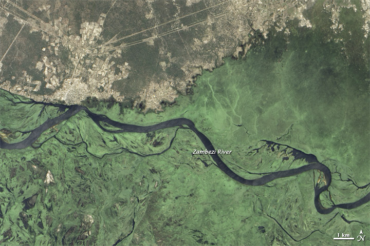Wet Season Transforms the Zambezi River