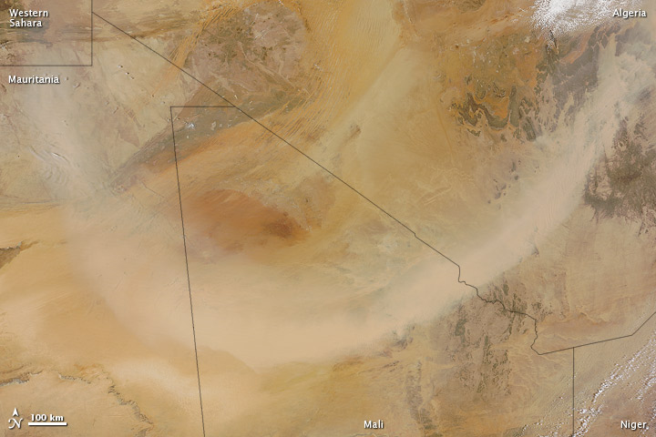 Dust Plume over the Sahara Desert