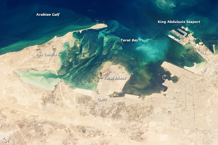Tarut Bay, Saudi Arabia