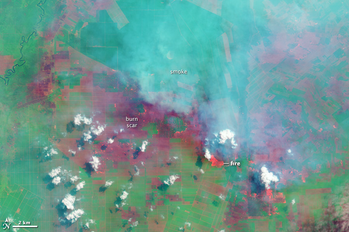 Fires and Farms in Indonesia