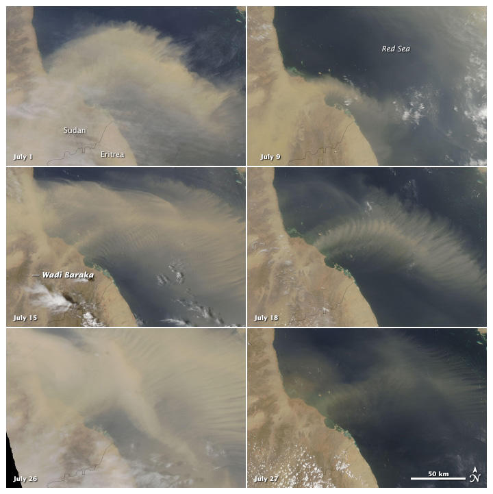 A Persistent Plume over the Red Sea