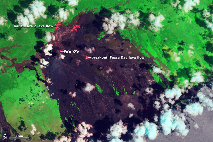 Kilauea Lava Flows Encroach on Ohia Lehua Forest