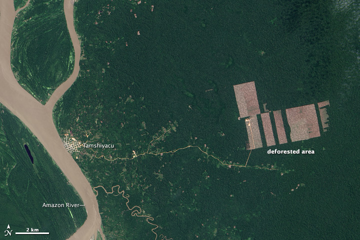 Landsat 8 Detects New Deforestation in Peru