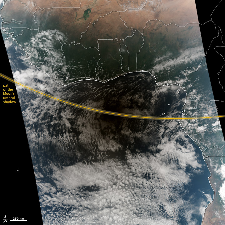 Hybrid Eclipse Shades Africa