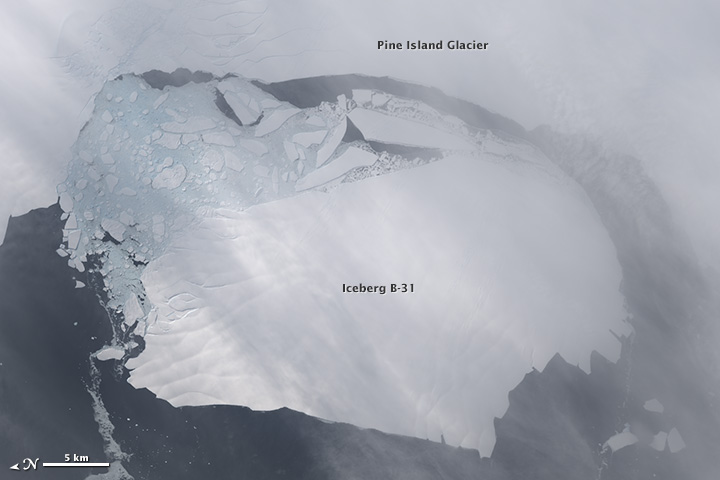 Major Iceberg Cracks off Pine Island Glacier