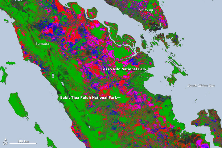 New Map Yields Better View of Forest Changes New Map Yields Better View of Forest Changes