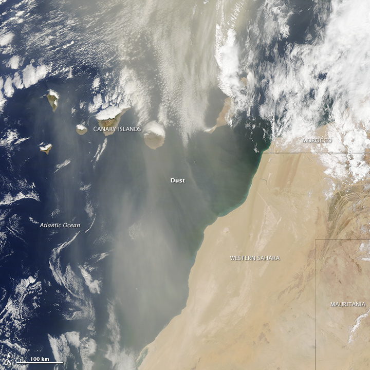 Dust Storm off Western Sahara