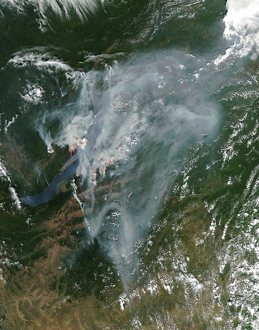MODIS image of Siberia with smoke plumes