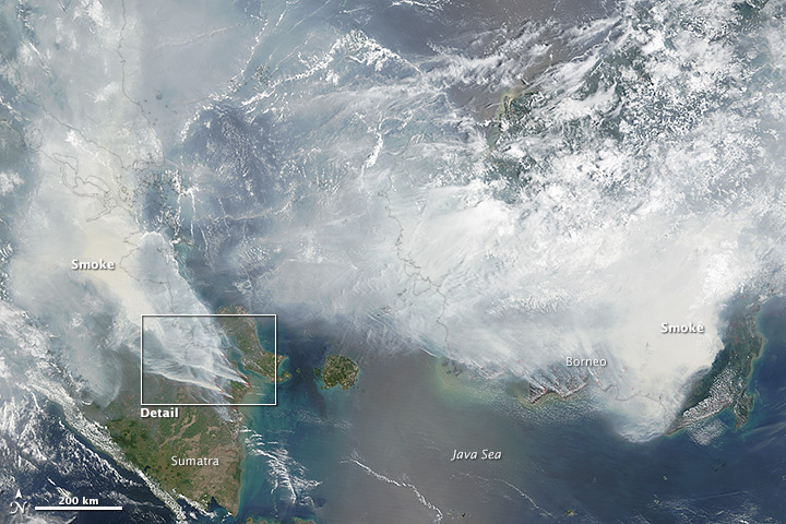 Zábery na Borneo zo satelitov NASA. FOTO - http://earthobservatory.nasa.gov/IOTD/view.php?id=86681