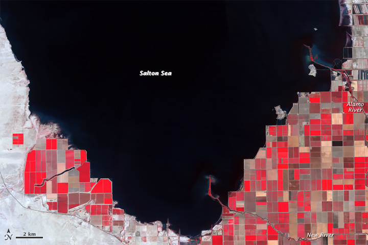 Shrinking Shoreline of the Salton Sea 