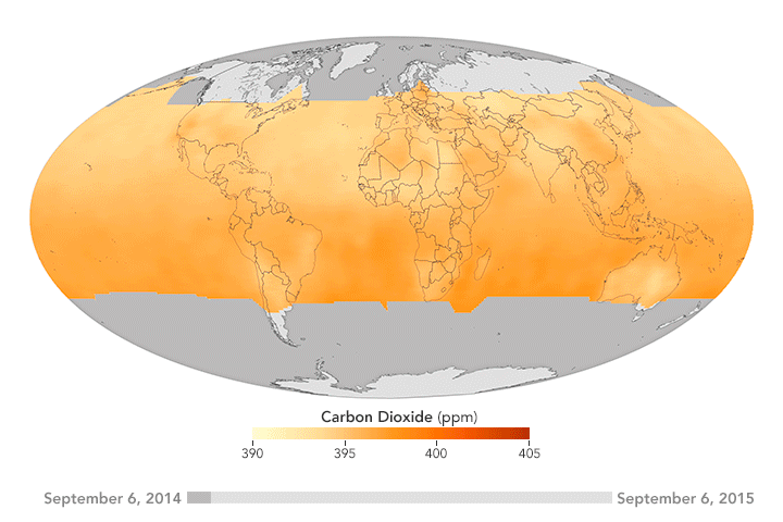 A Year in the Life of Carbon Dioxide