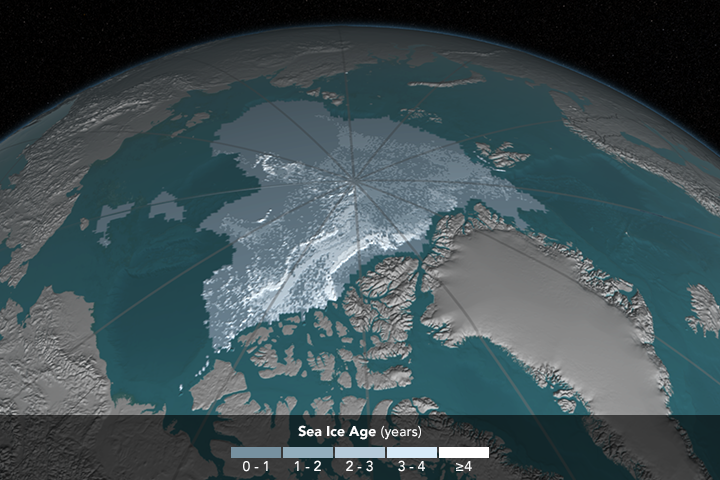 [Image: iceAgeYearly_p30_1168.png]