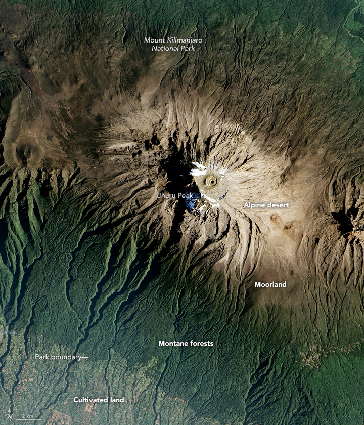 The Zones of Kilimanjaro