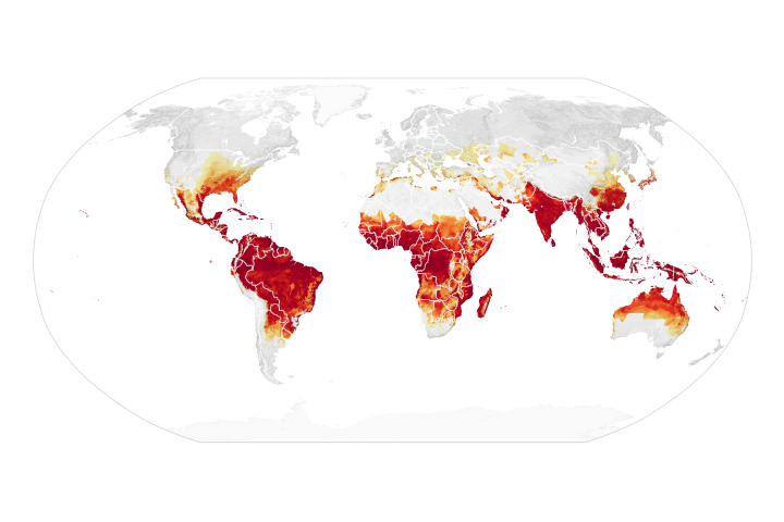 Of Mosquitoes and Models: Tracking Disease by Satellite