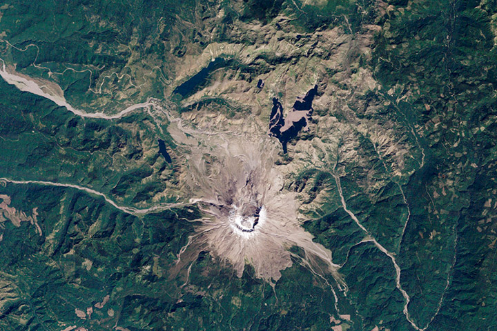 World of Change: Devastation and Recovery at Mt. St. Helens