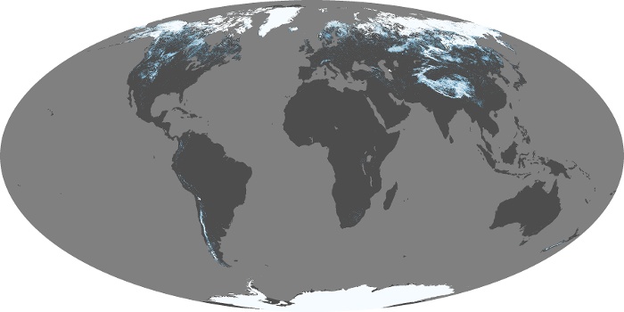 Global Map Snow Cover Image 196