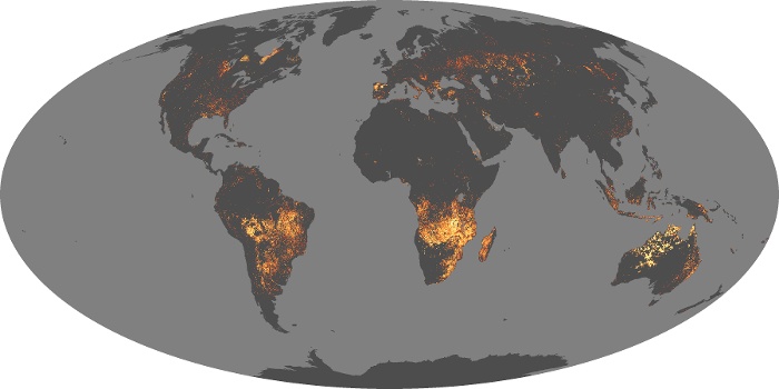 Global Map Fire Image 7