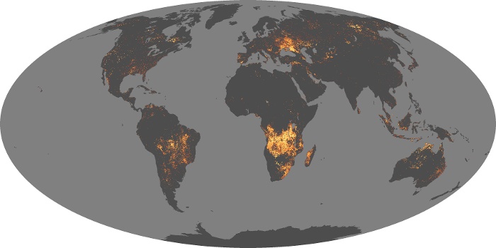 Global Map Fire Image 1