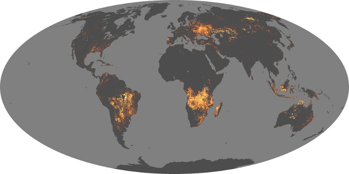 Global Map Fire Image 30