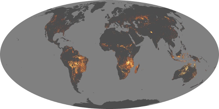 Global Map Fire Image 4