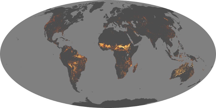 Global Map Fire Image 5