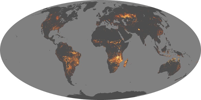 Global Map Fire Image 44