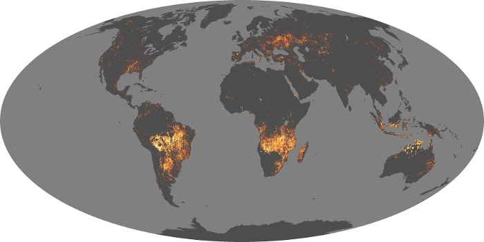 Global Map Fire Image 55