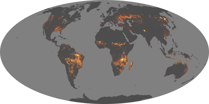 Global Map Fire Image 40