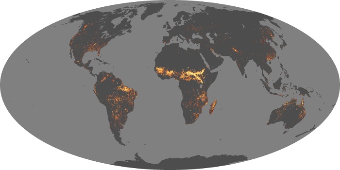 Global Map Fire Image 41