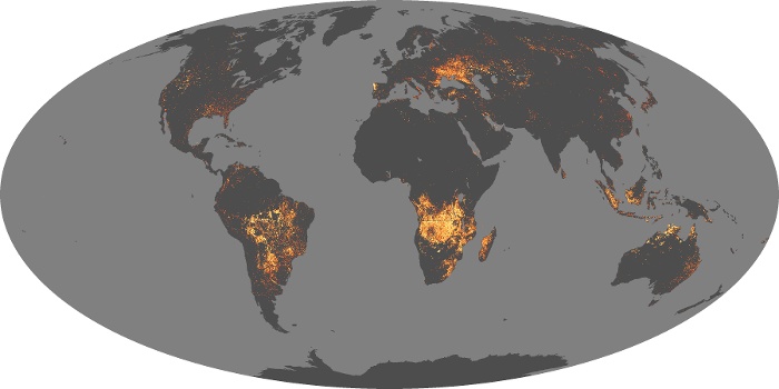 Global Map Fire Image 78