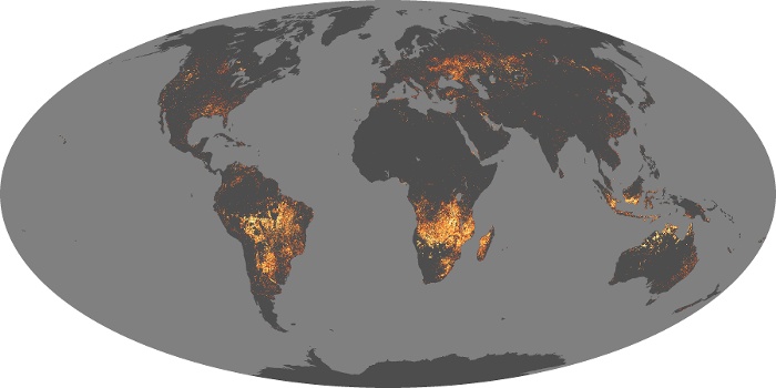 Global Map Fire Image 79