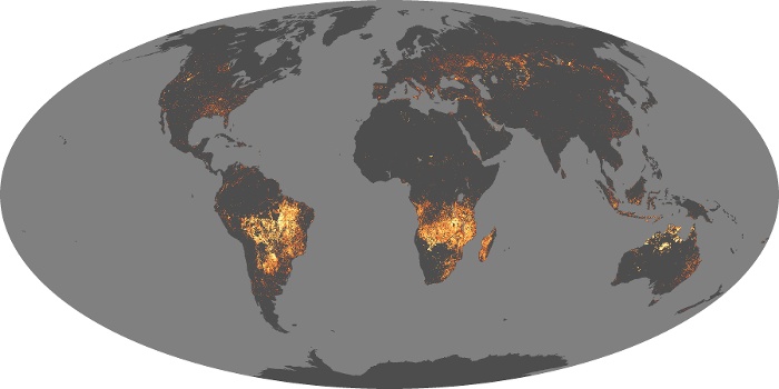 Global Map Fire Image 63