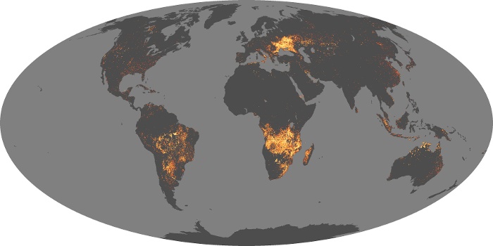 Global Map Fire Image 74
