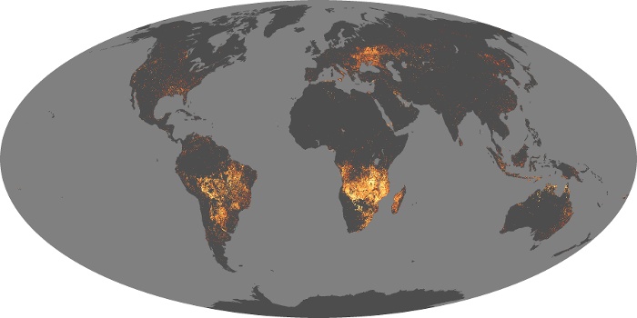 Global Map Fire Image 75