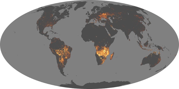 Global Map Fire Image 27